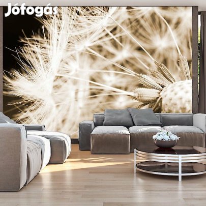 Fotótapéta - Fekete-fehér Pitypang poszter 1