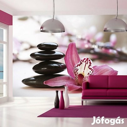 Fotótapéta - Fekete kavicsok és rózsaszín virág