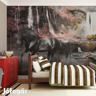 Fotótapéta - Fekete ló egy vízesés