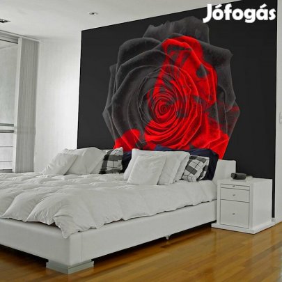 Fotótapéta - Feketébe ágyazva