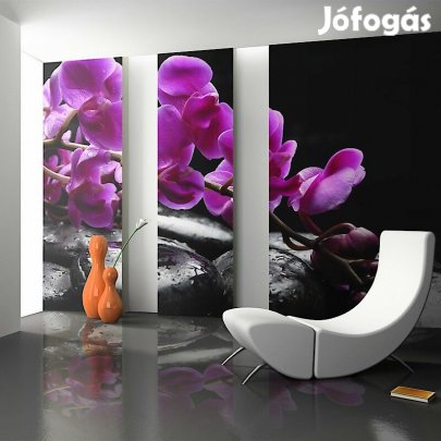 Fotótapéta - Feketében