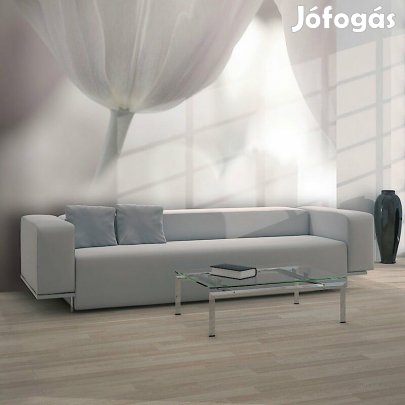 Fotótapéta - Feketén, fehéren 2