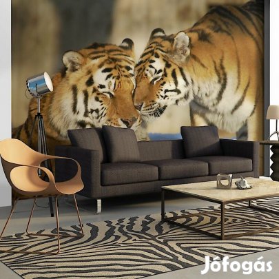 Fotótapéta - Feltétel nélküli szeretet