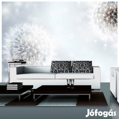 Fotótapéta - Fényes gömbök