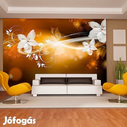 Fotótapéta - Fénytörés