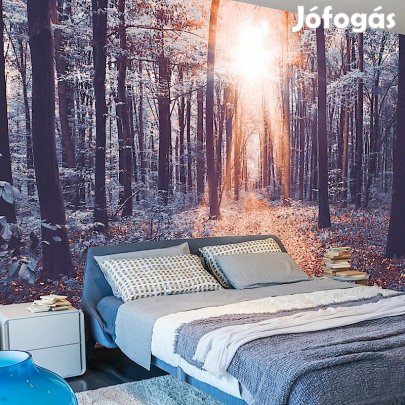 Fotótapéta - Földöntúli fény 1