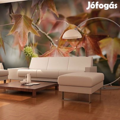 Fotótapéta - Gesztenye fák