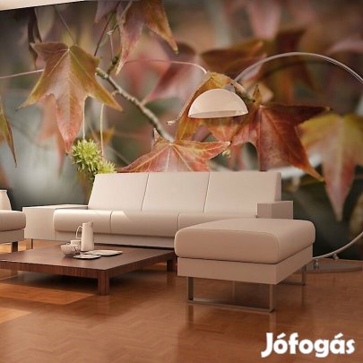 Fotótapéta - Gesztenye fák