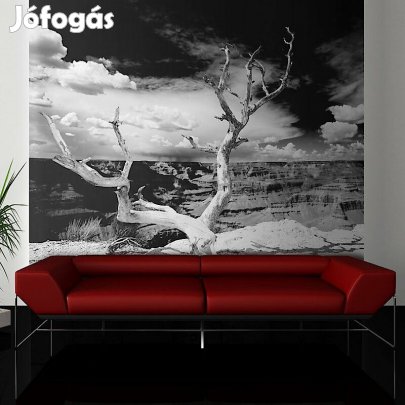 Fotótapéta - Grand Canyon fa