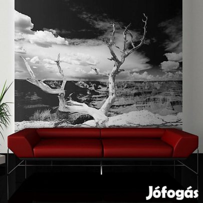 Fotótapéta - Grand Canyon fa