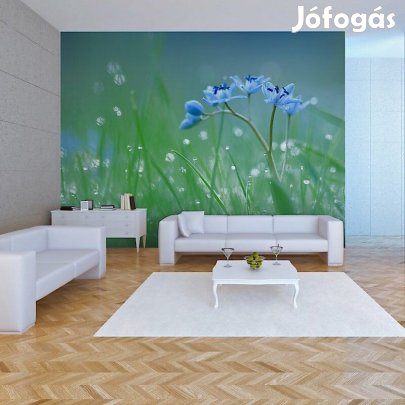 Fotótapéta - Hajnali ébredés