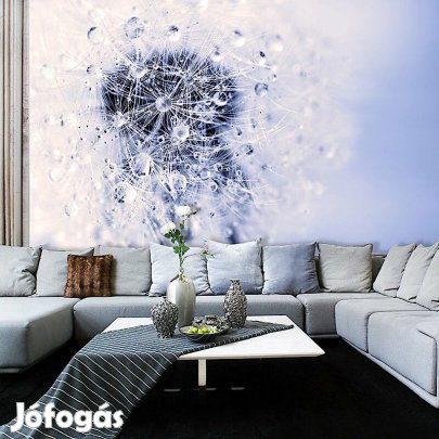 Fotótapéta - Harmatcseppekkel