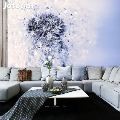 Fotótapéta - Harmatcseppekkel