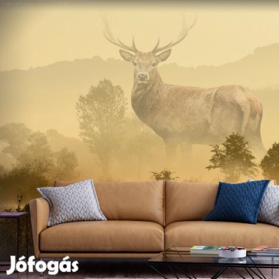 Fotótapéta - Határozott tekintet 3