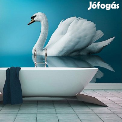 Fotótapéta - Hattyú visszatükröződés