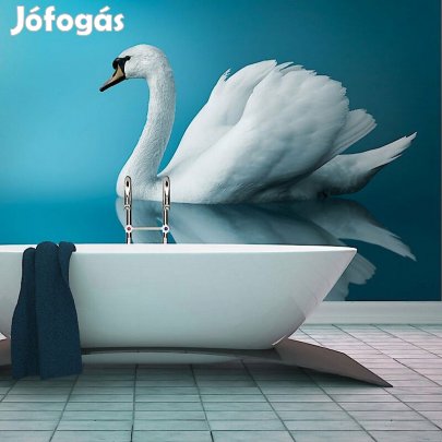 Fotótapéta - Hattyú visszatükröződés