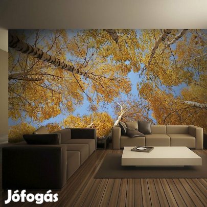 Fotótapéta - Hulló levelek alatt