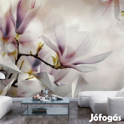 Fotótapéta - Illatos magnóliák 1