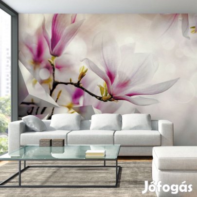 Fotótapéta - Illatos magnóliák 3