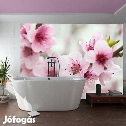 Fotótapéta - Itt van a tavasz