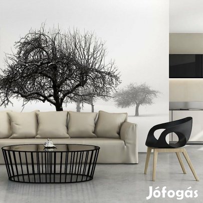 Fotótapéta - Itt van a tél