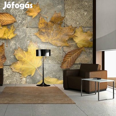 Fotótapéta - Itt van az ősz