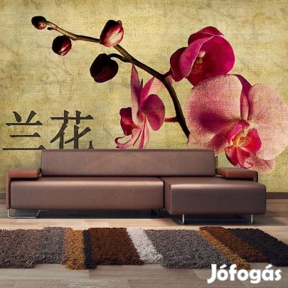 Fotótapéta - Japán orchidea 2