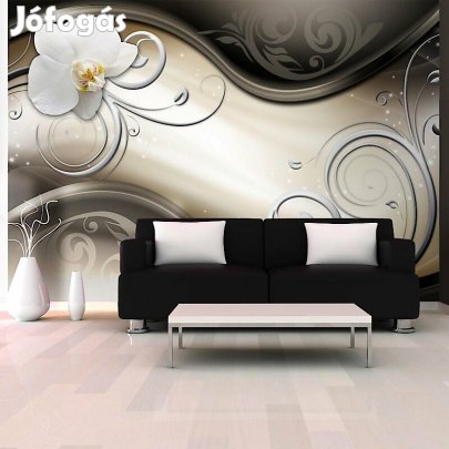 Fotótapéta - Jó úton haladva