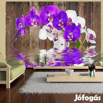 Fotótapéta - Kapcsolat a virágok között