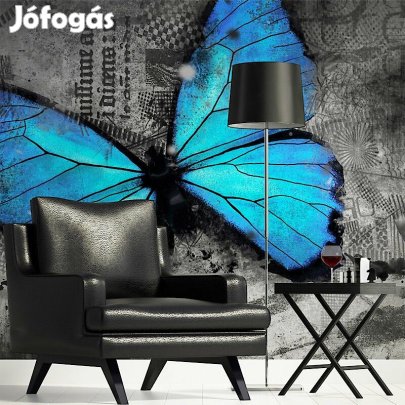 Fotótapéta - Kék lepke