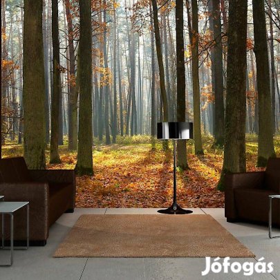 Fotótapéta - Kellemes ősz