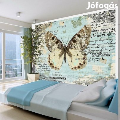 Fotótapéta - Képeslap lepkével