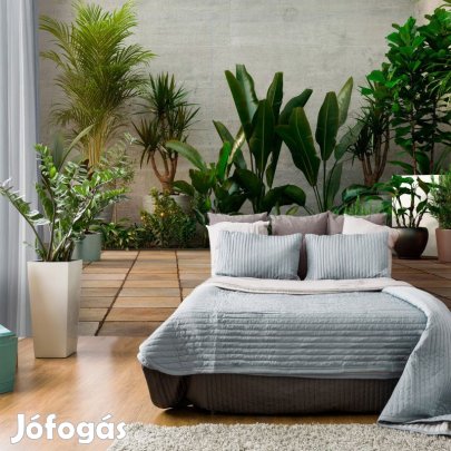 Fotótapéta - Kert a lakásban