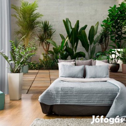 Fotótapéta - Kert a lakásban