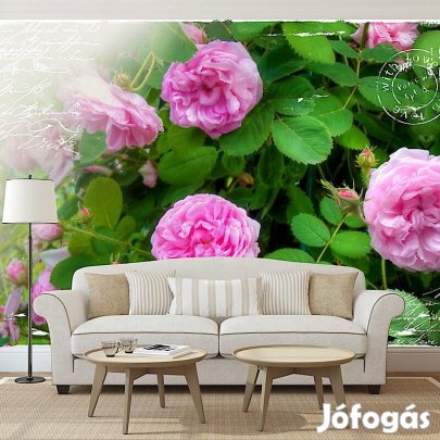 Fotótapéta - Kerti hangulatban