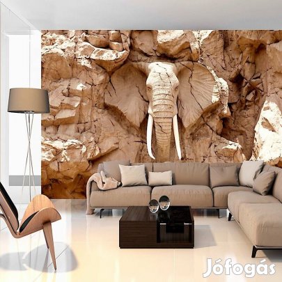 Fotótapéta - Kitörő elefánt