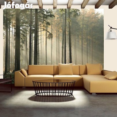 Fotótapéta - Ködbe burkolózva