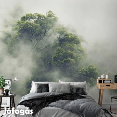 Fotótapéta - Ködös Amazon