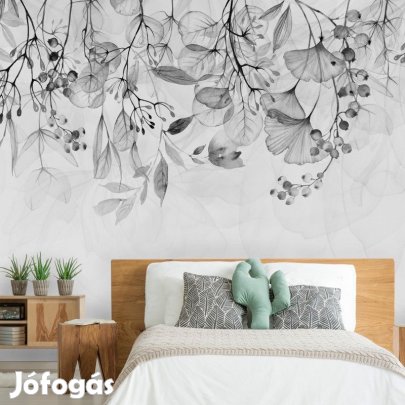 Fotótapéta - Ködös természet 1