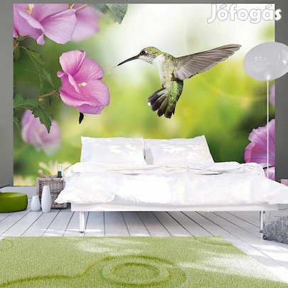 Fotótapéta - Kolibri