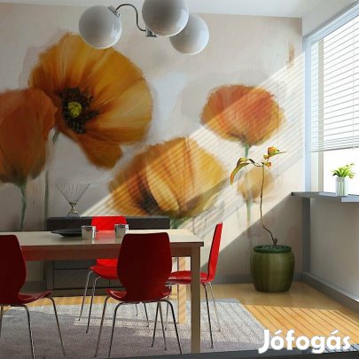 Fotótapéta - Különleges pipacsok 2