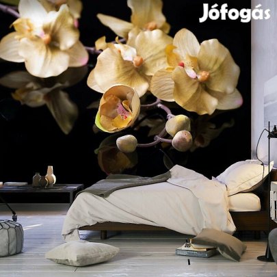 Fotótapéta - Különleges színekben