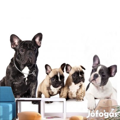 Fotótapéta - Kutya család