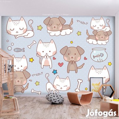 Fotótapéta - Kutya falka