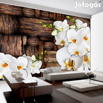 Fotótapéta - Ládába zárva