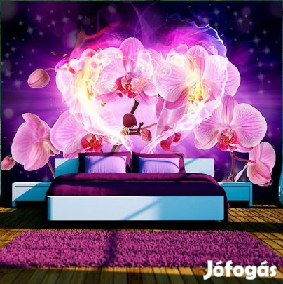 Fotótapéta - Lángoló orchideák