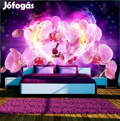 Fotótapéta - Lángoló orchideák