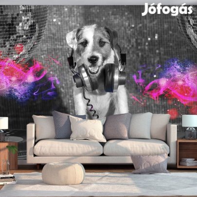 Fotótapéta - Lemezlovas kutya