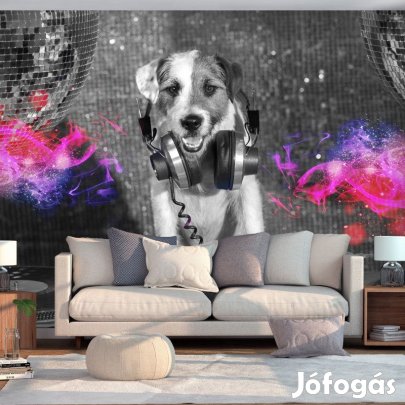 Fotótapéta - Lemezlovas kutya
