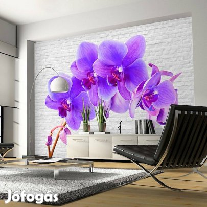 Fotótapéta - Lila ábránd